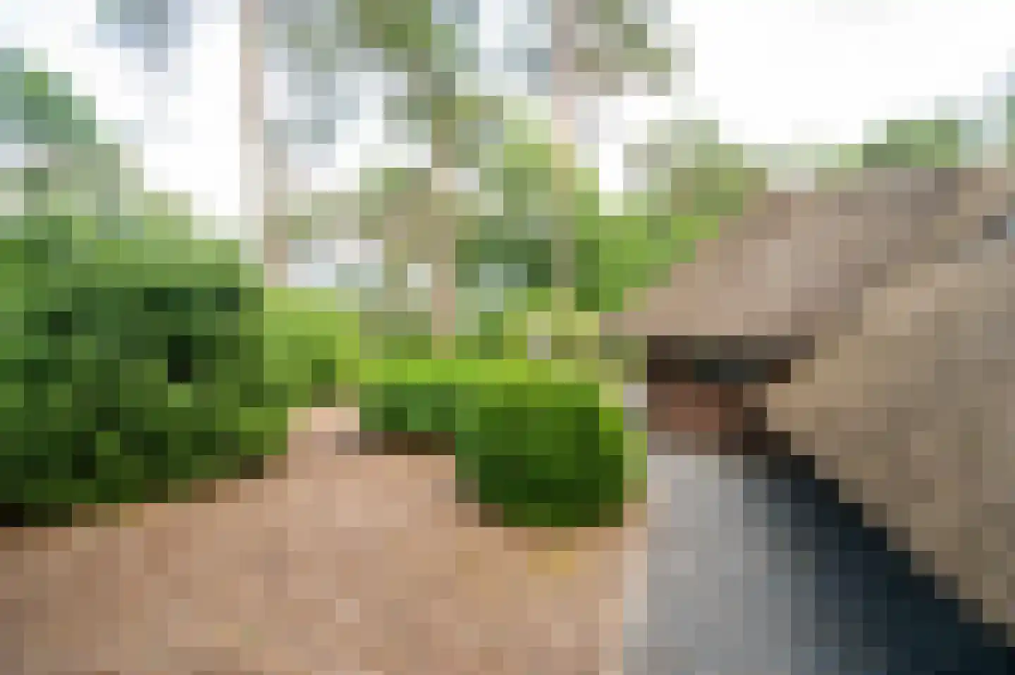 Hoorneweg 17 B 21 Putten thumbnail 5