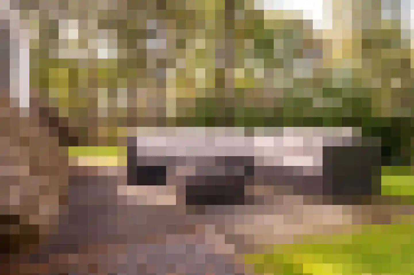 Hoorneweg 17 B 22 Putten thumbnail 10