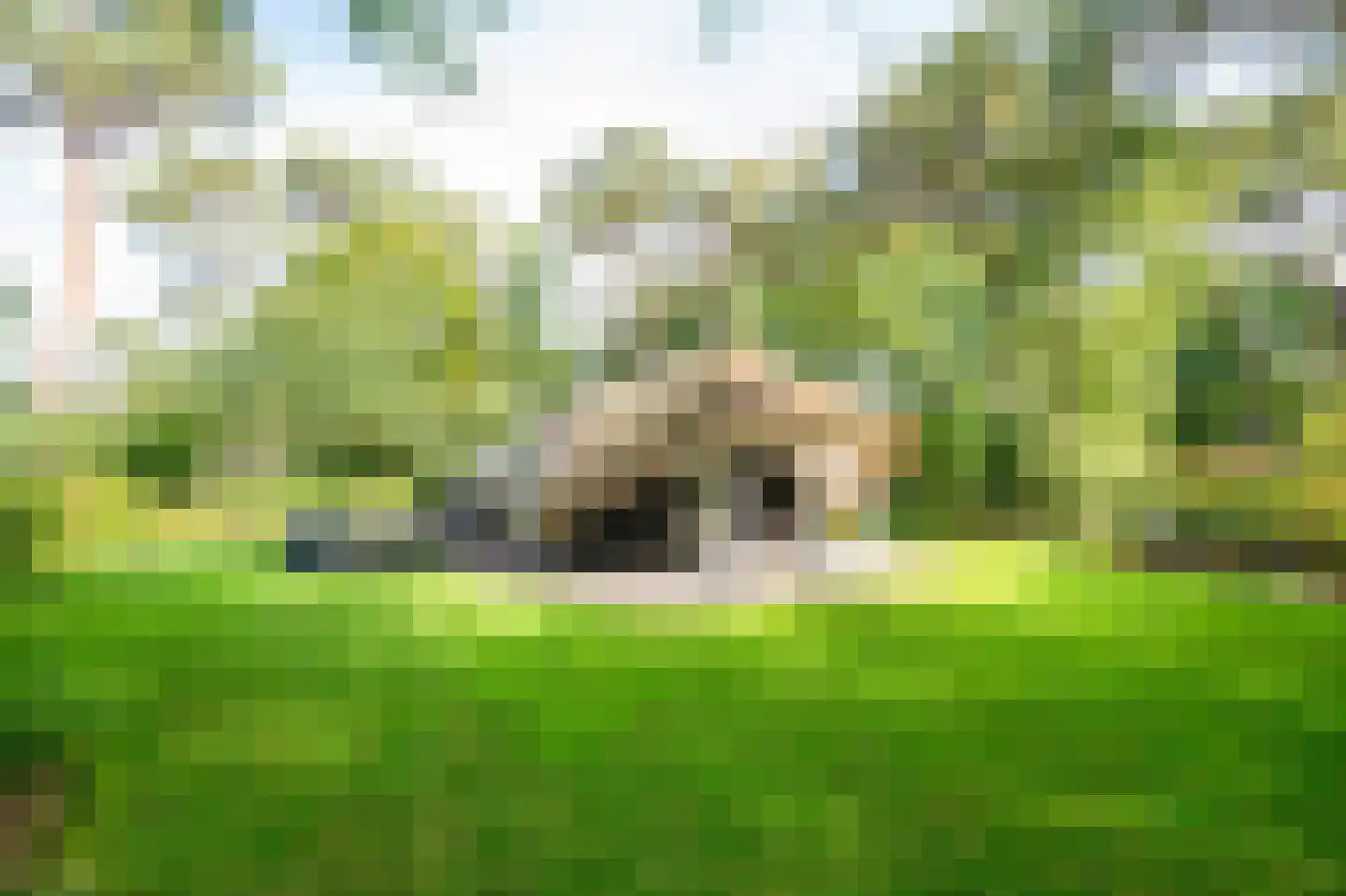 Hoorneweg 17 B 22 Putten thumbnail 11