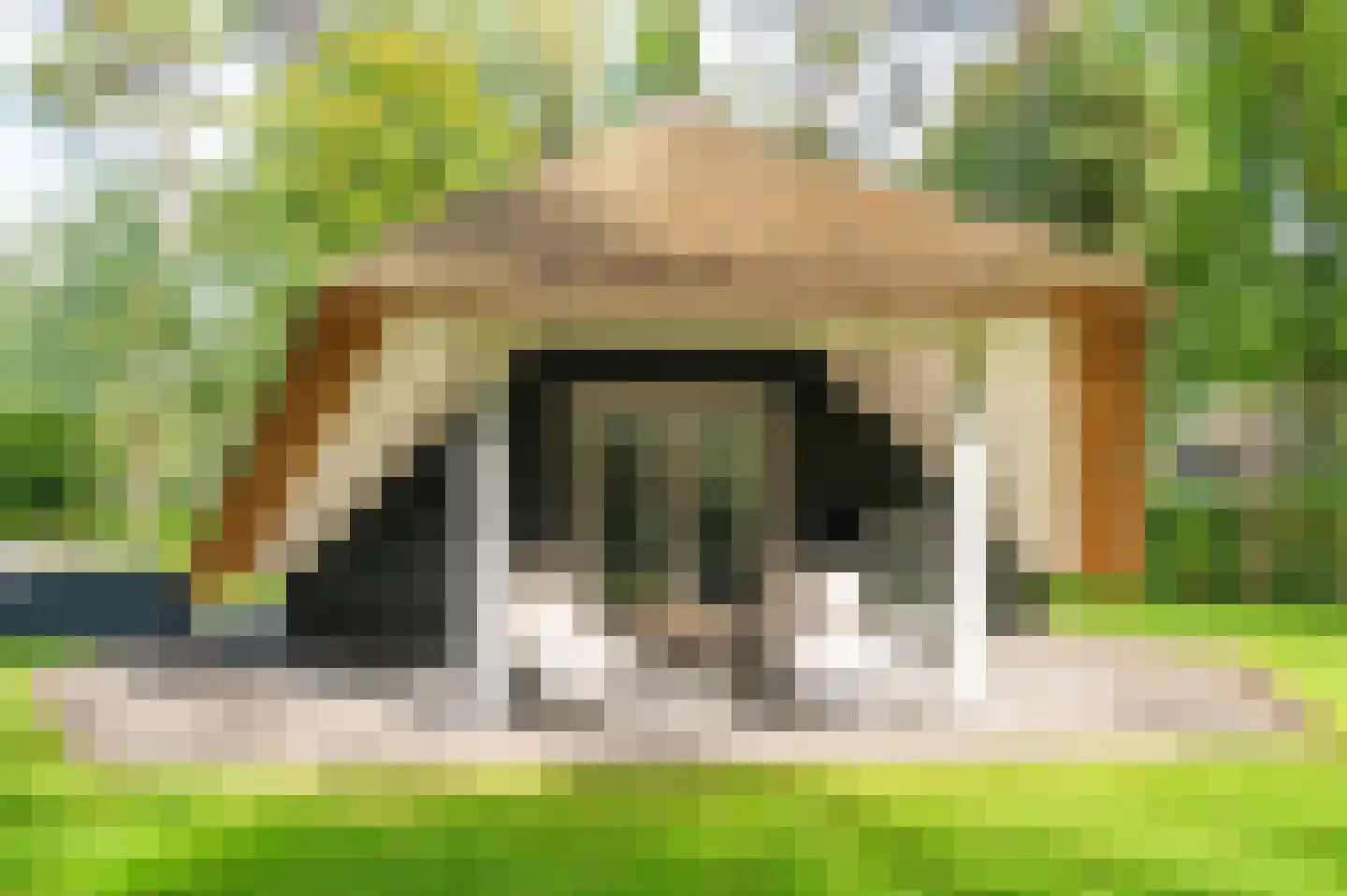 Hoorneweg 17 B 22 Putten thumbnail 12