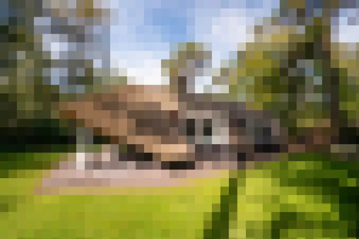 Hoorneweg 17 B 22 Putten thumbnail 14