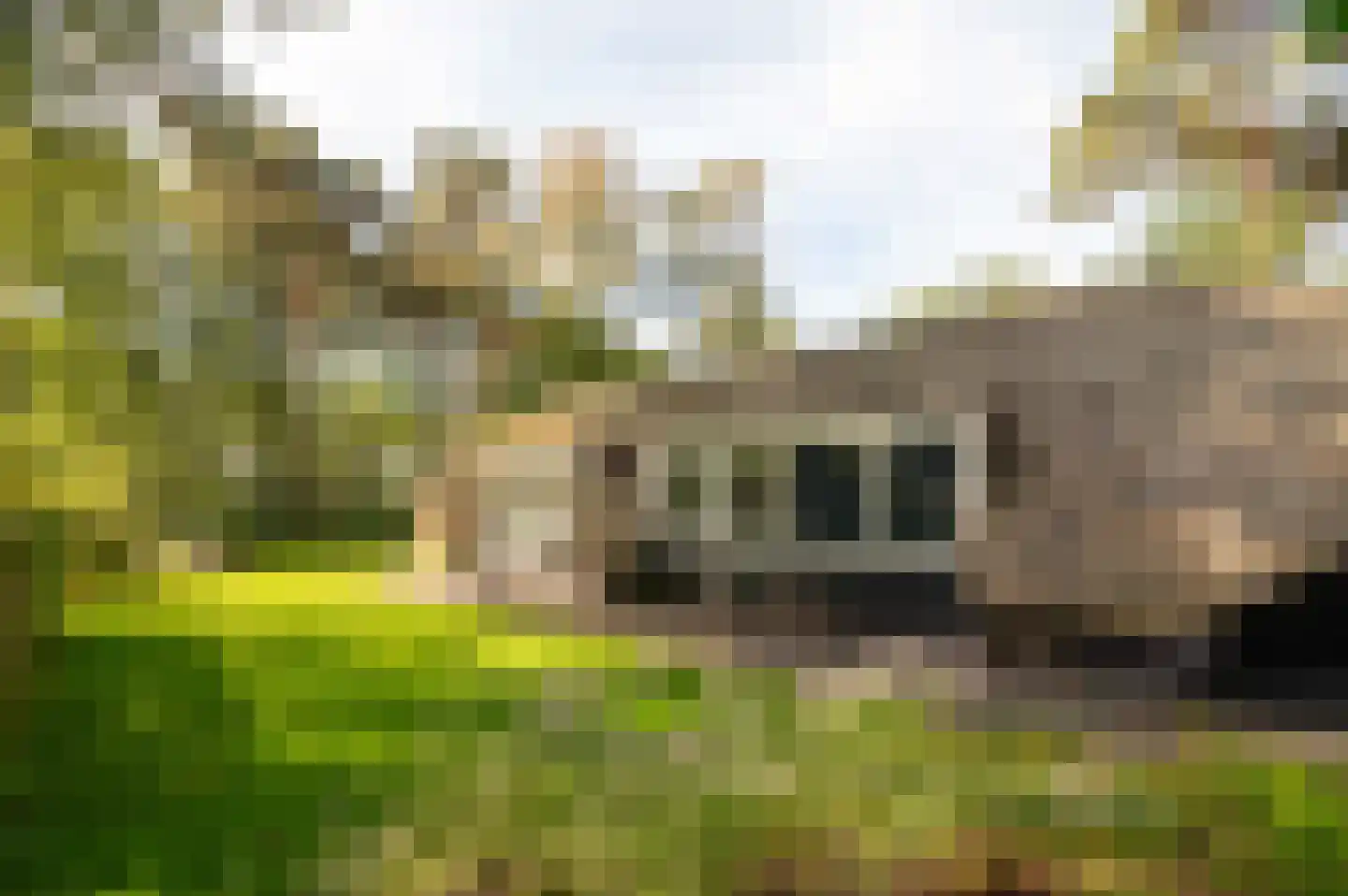 Hoorneweg 17 B 22 Putten thumbnail 15