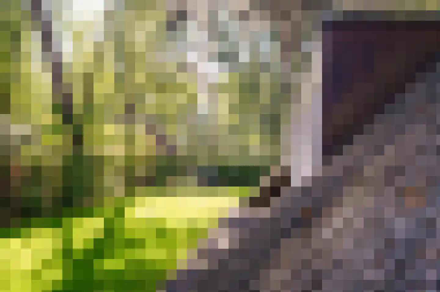 Hoorneweg 17 B 22 Putten thumbnail 28