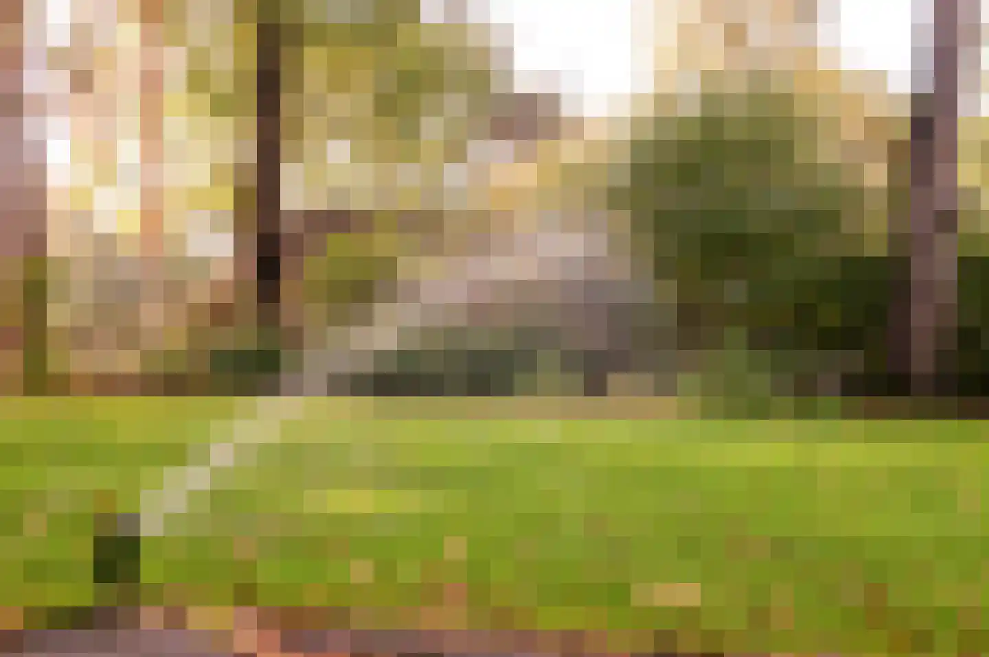Hoorneweg 17 B 22 Putten thumbnail 30
