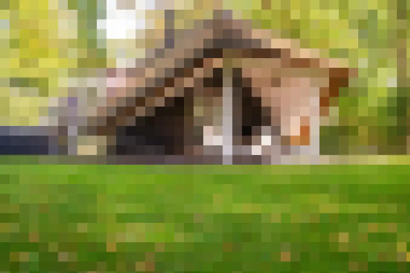 Hoorneweg 17 B 22 Putten thumbnail 31