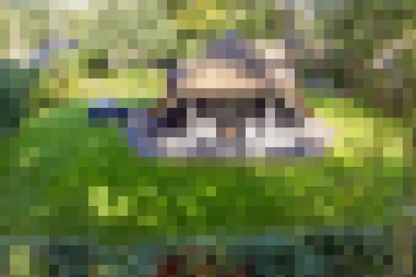 Hoorneweg 17 B 22 Putten thumbnail 4