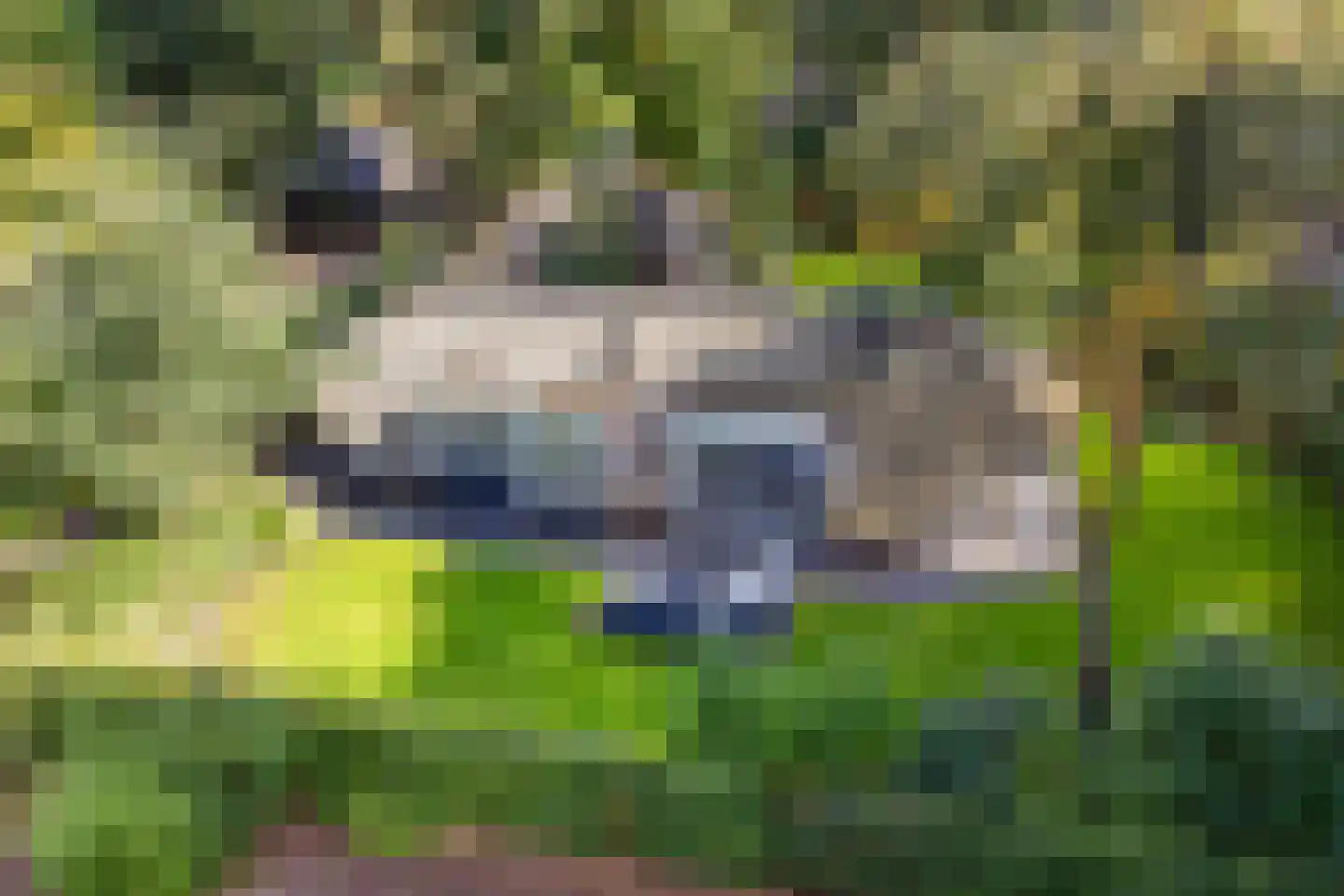 Hoorneweg 17 B 22 Putten thumbnail 5
