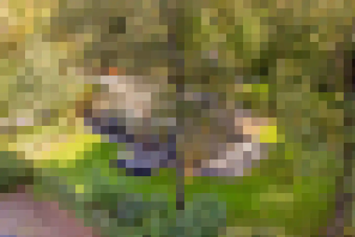 Hoorneweg 17 B 22 Putten thumbnail 6