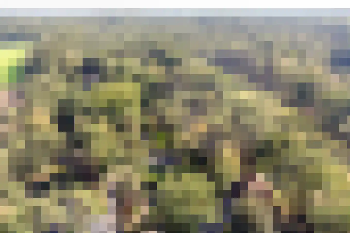 Hoorneweg 17 B 22 Putten thumbnail 7