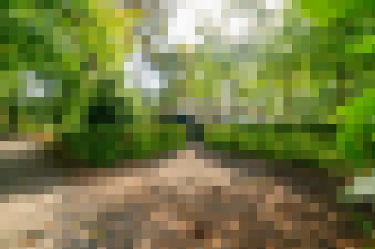 Hoorneweg 17 B 22 Putten thumbnail 8