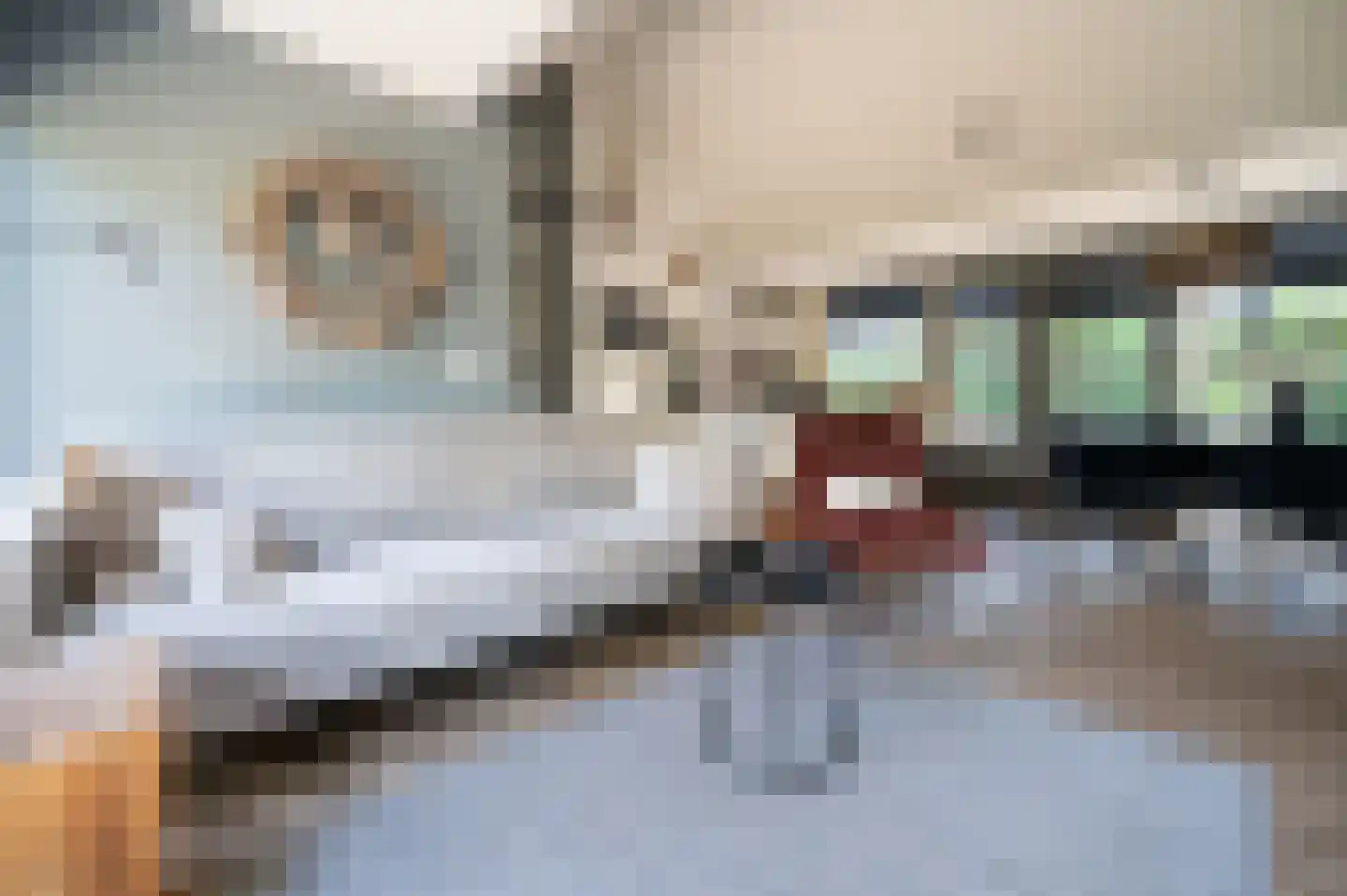 Hoorneweg 17 B 7 Putten thumbnail 10