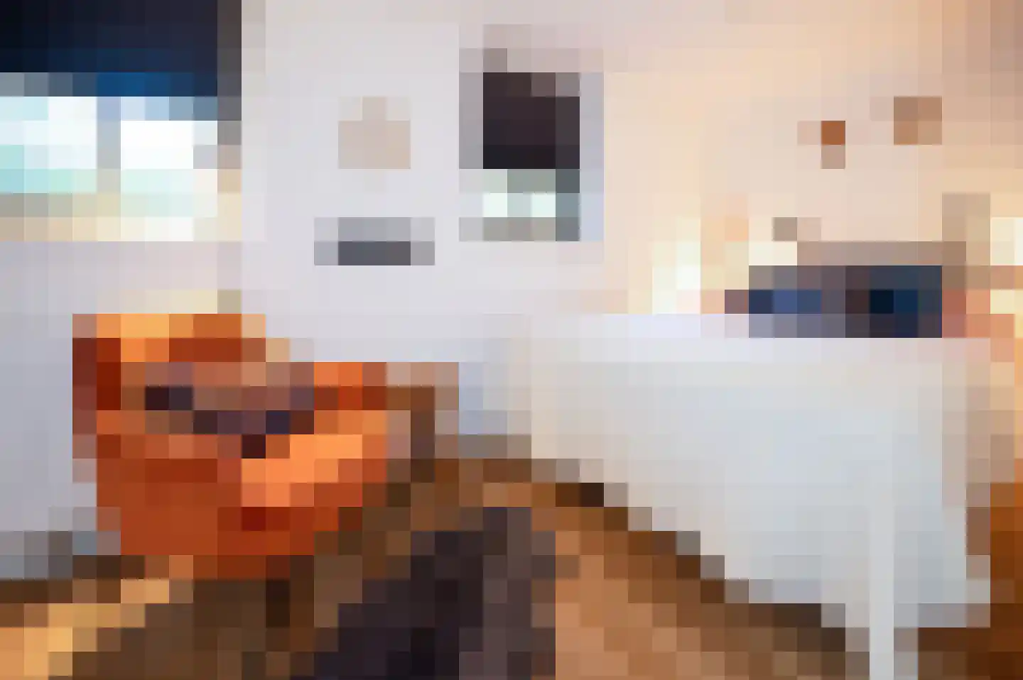 Hoorneweg 17 B 7 Putten thumbnail 15