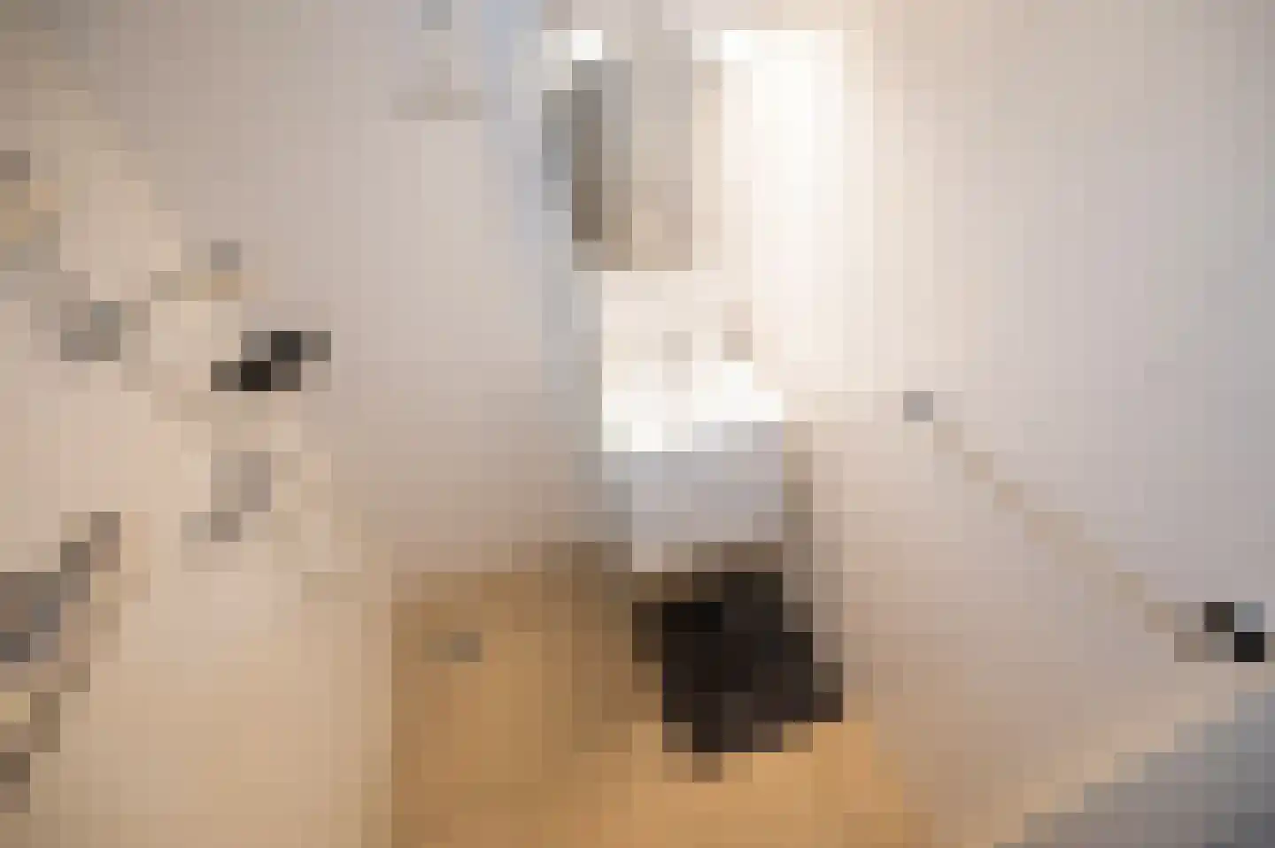 Hoorneweg 17 B 7 Putten thumbnail 18