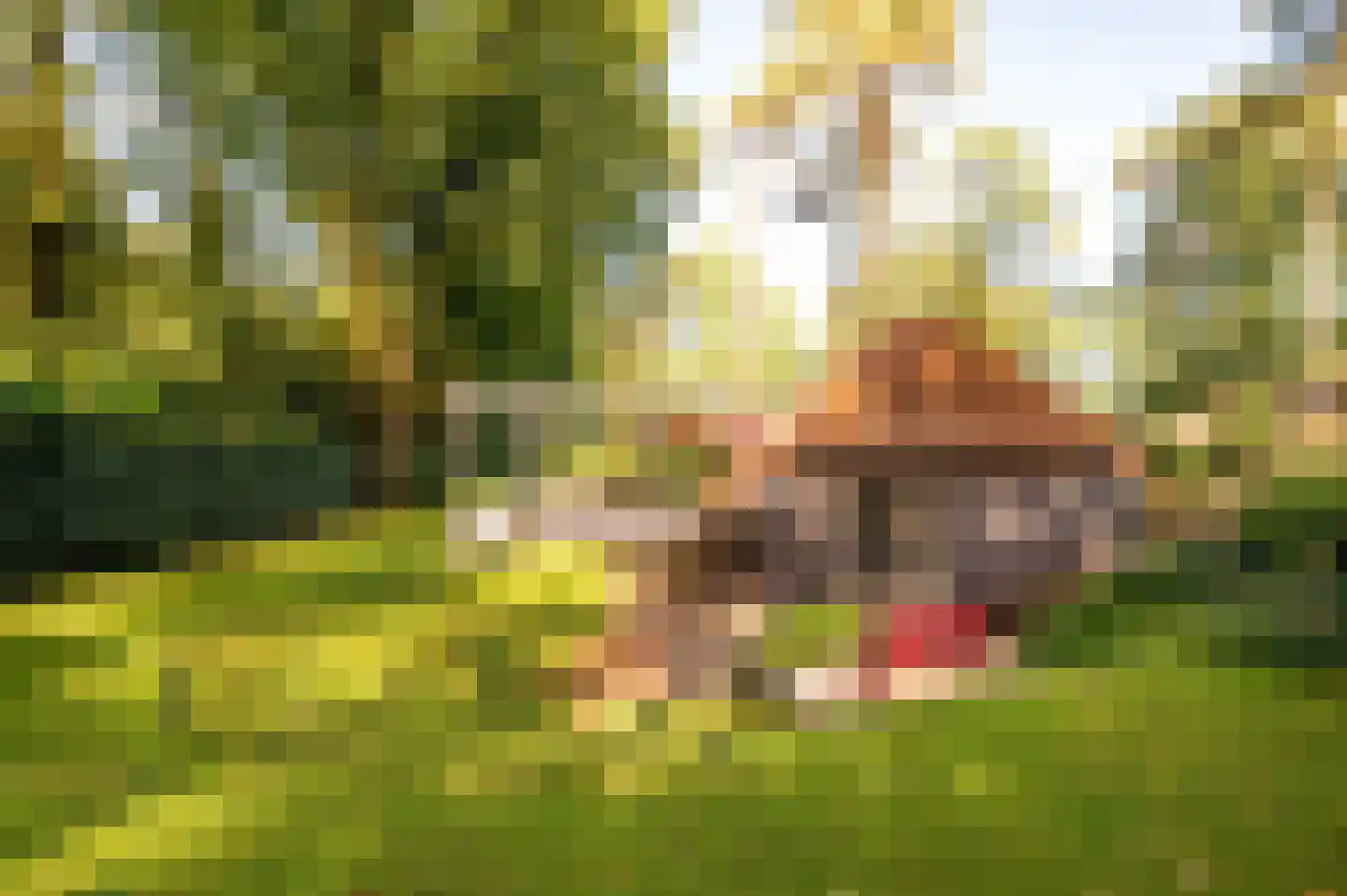 Hoorneweg 17 B 7 Putten thumbnail 23