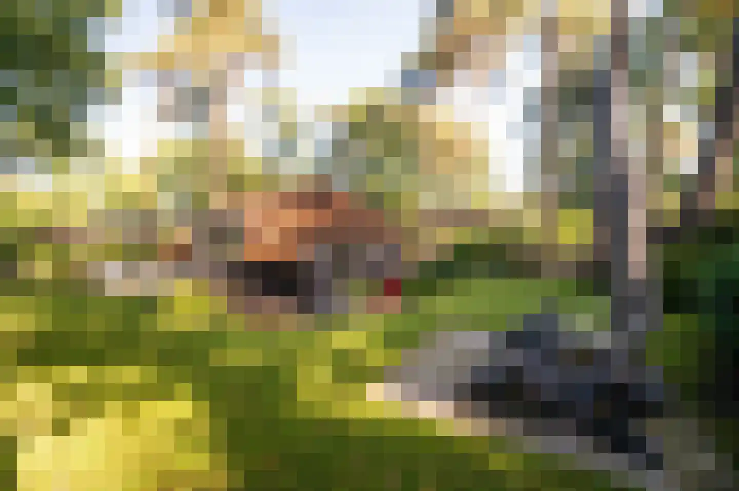 Hoorneweg 17 B 7 Putten thumbnail 24