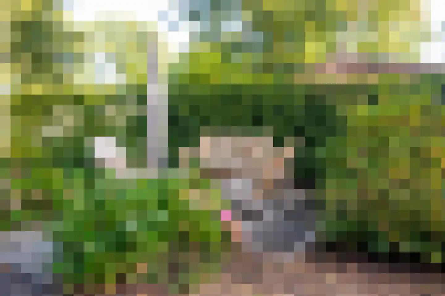 Hoorneweg 17 B 7 Putten thumbnail 25