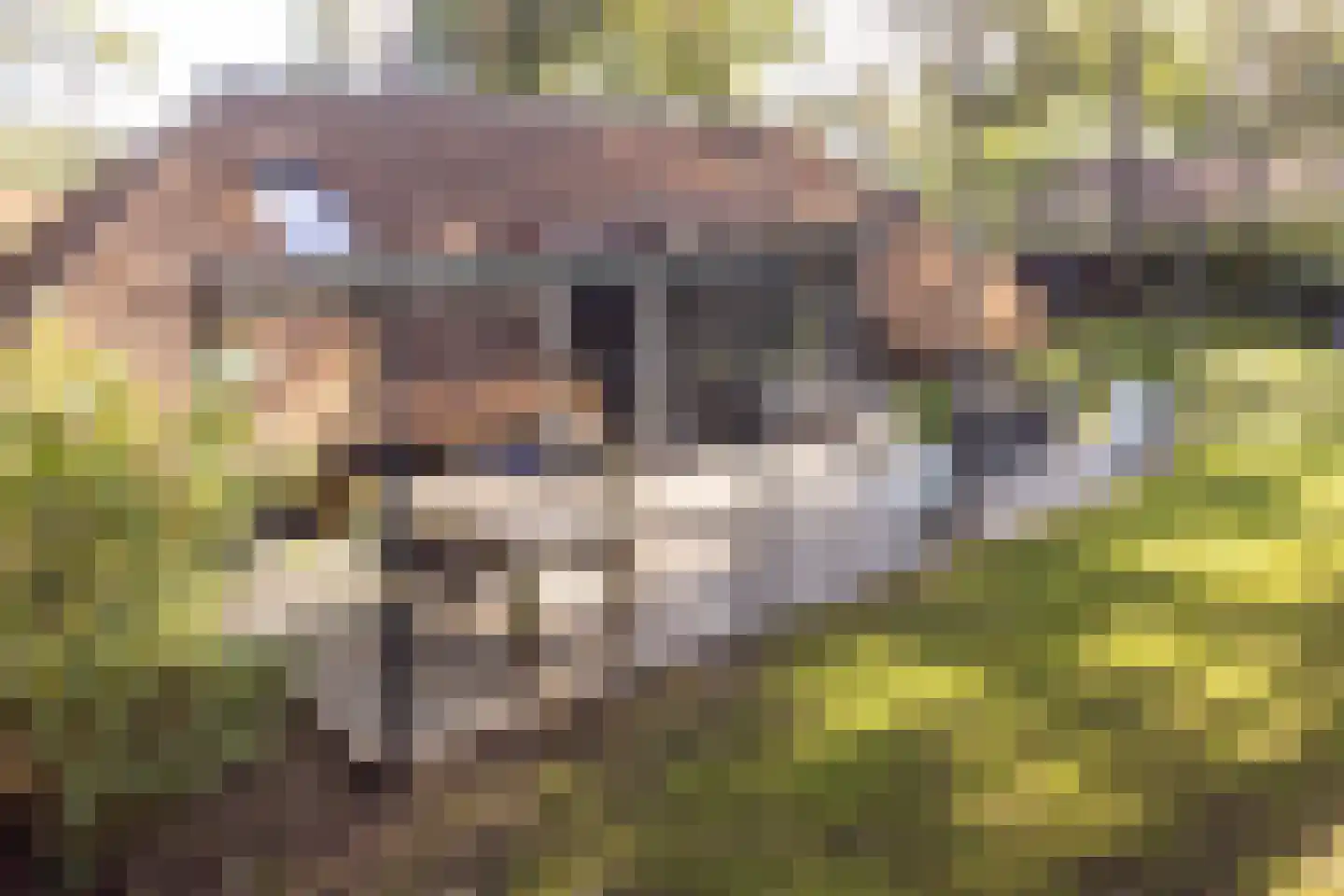 Hoorneweg 17 B 7 Putten thumbnail 26