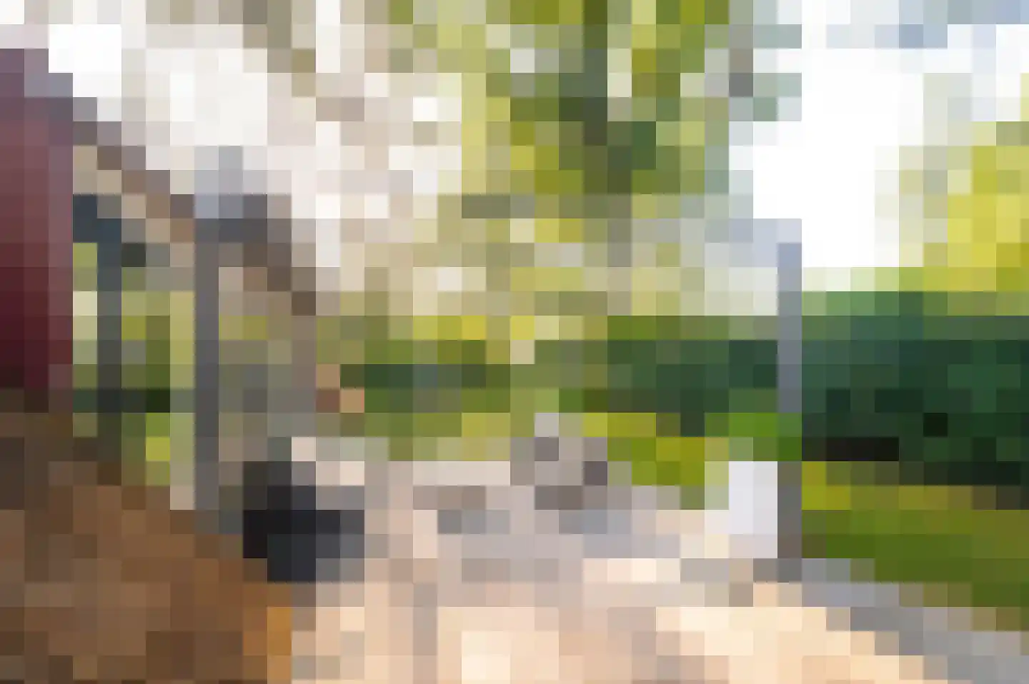 Hoorneweg 17 B 7 Putten thumbnail 27