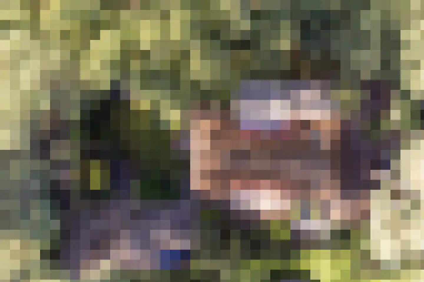 Hoorneweg 17 B 7 Putten thumbnail 4
