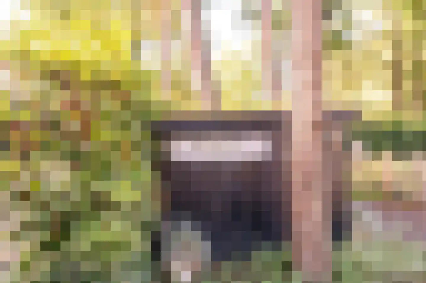 Hoorneweg 17 B 7 Putten thumbnail 5