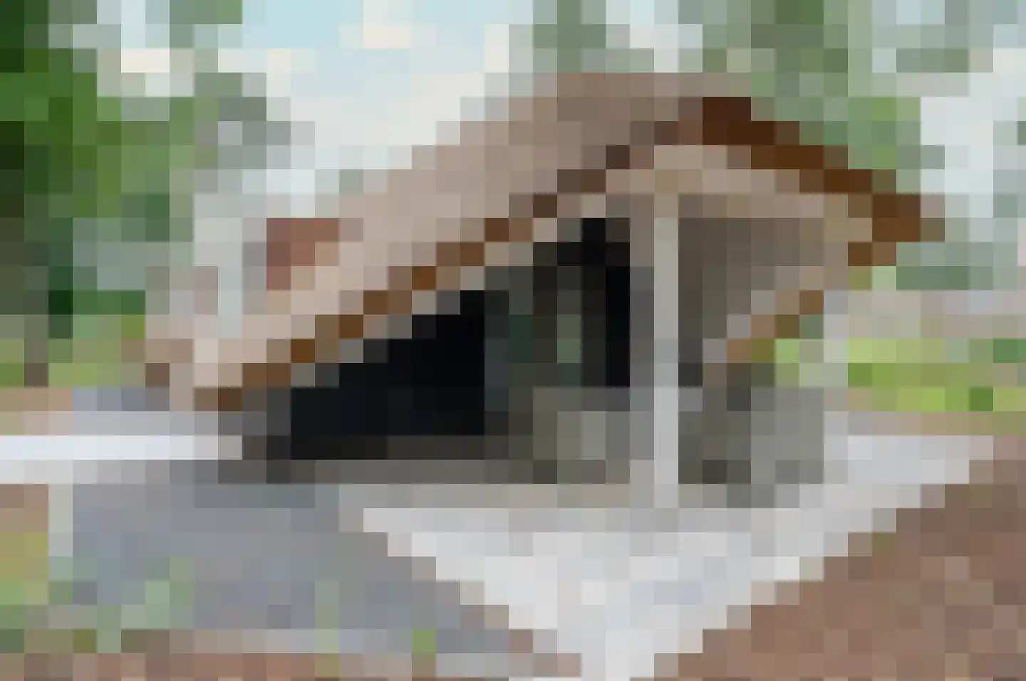Hoorneweg 17 B 9 Putten thumbnail 17