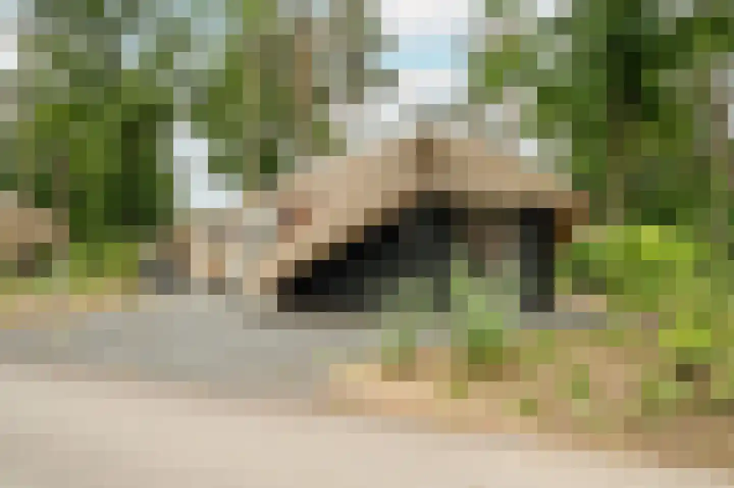 Hoorneweg 17 B 9 Putten thumbnail 19