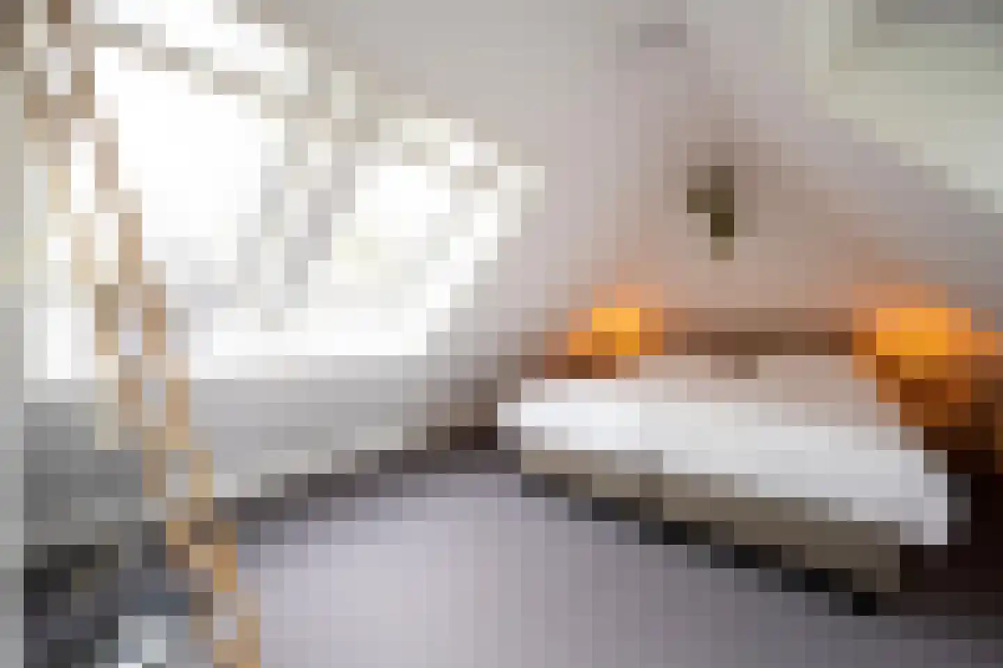 Hoorneweg 17 B17 Putten thumbnail 22