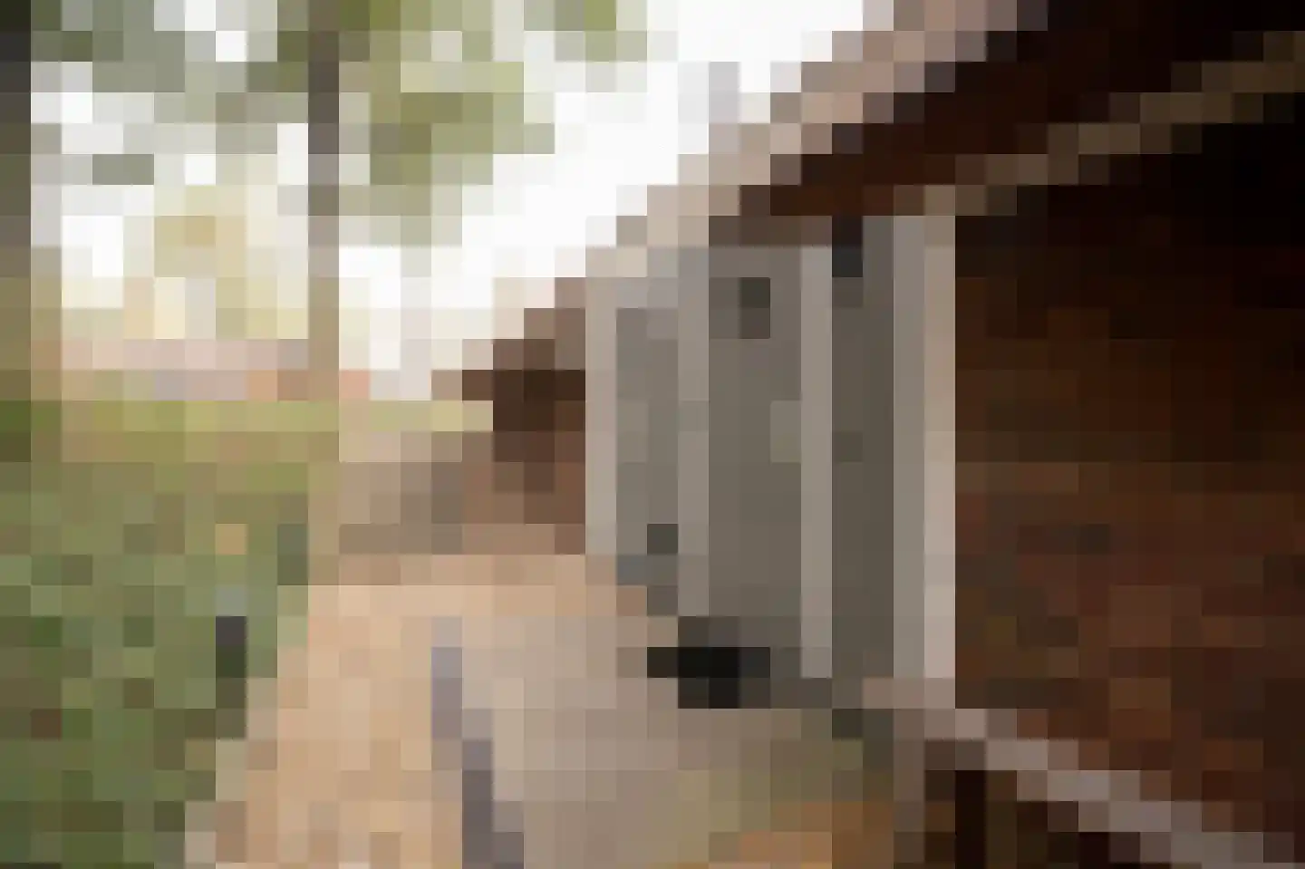 Hoorneweg 17 B17 Putten thumbnail 5