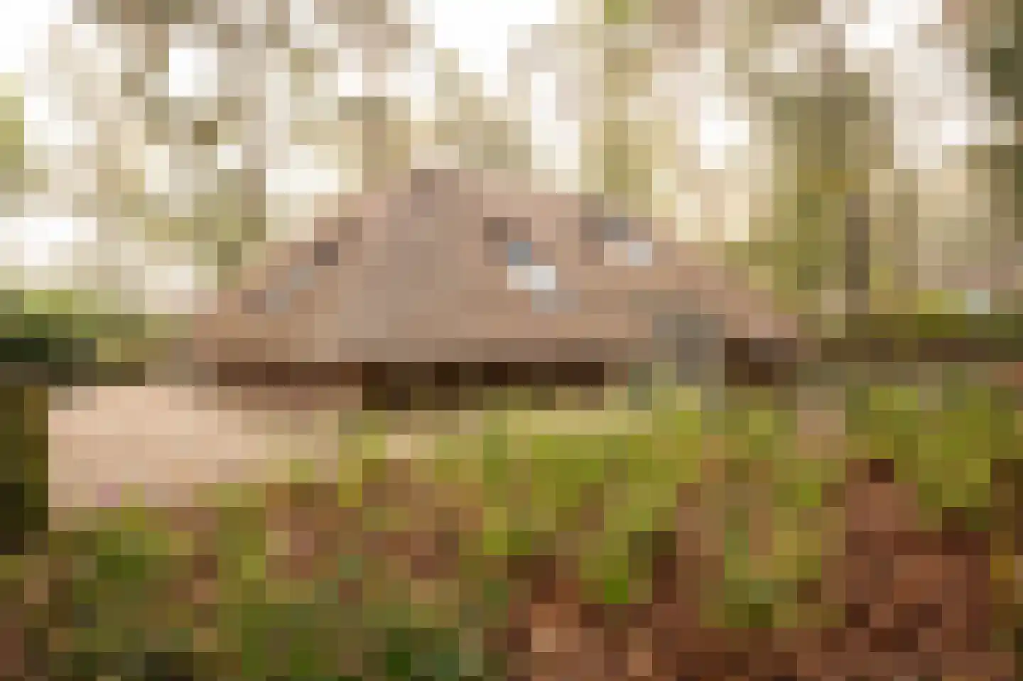 Hoorneweg 17 B17 Putten thumbnail 7