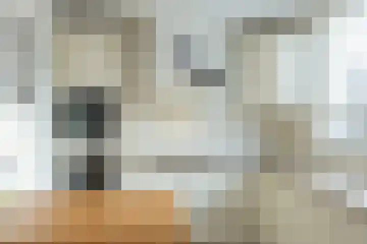 Hoornhorststraat 4 Beltrum thumbnail 13