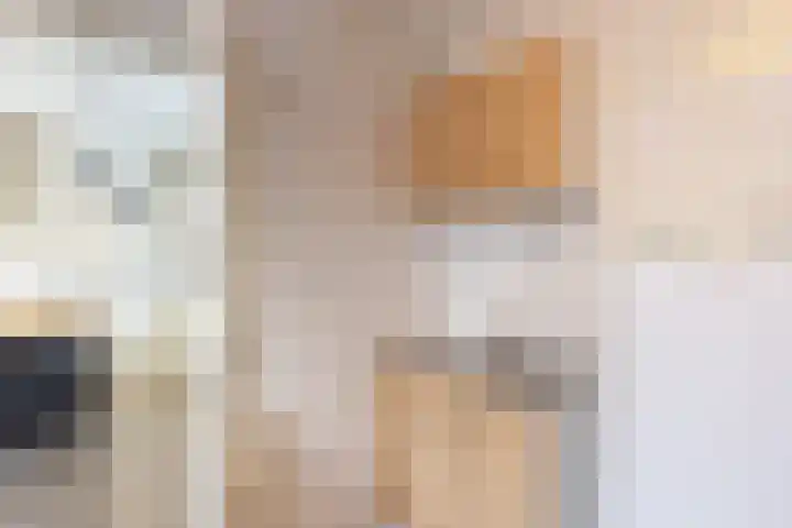 Hoornhorststraat 4 Beltrum thumbnail 15