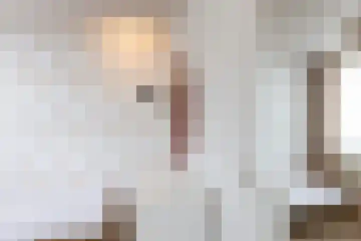 Hoornhorststraat 4 Beltrum thumbnail 20