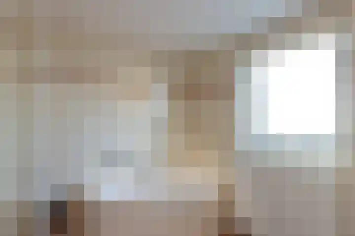 Hoornhorststraat 4 Beltrum thumbnail 25