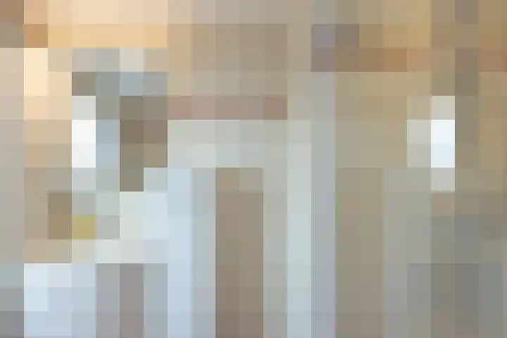 Hoornhorststraat 4 Beltrum thumbnail 26
