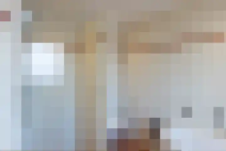 Hoornhorststraat 4 Beltrum thumbnail 27