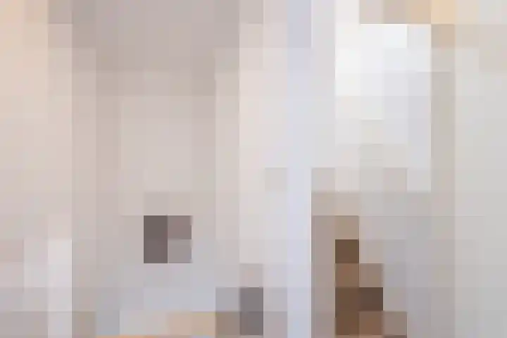 Hoornhorststraat 4 Beltrum thumbnail 28