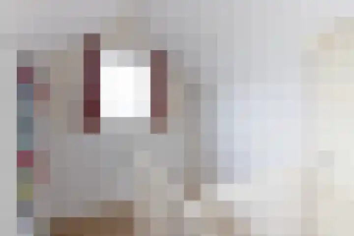 Hoornhorststraat 4 Beltrum thumbnail 29