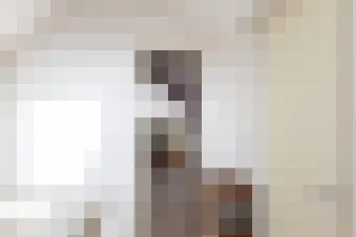 Hoornhorststraat 4 Beltrum thumbnail 30