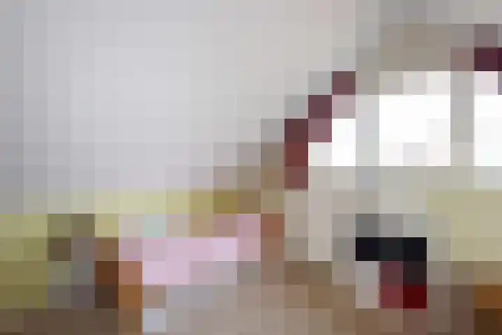 Hoornhorststraat 4 Beltrum thumbnail 31