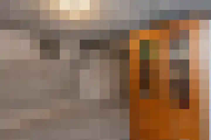Hoornhorststraat 4 Beltrum thumbnail 33