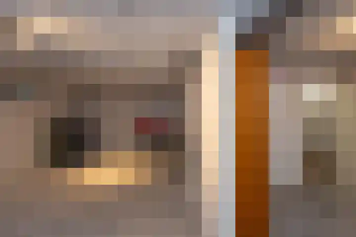 Hoornhorststraat 4 Beltrum thumbnail 34