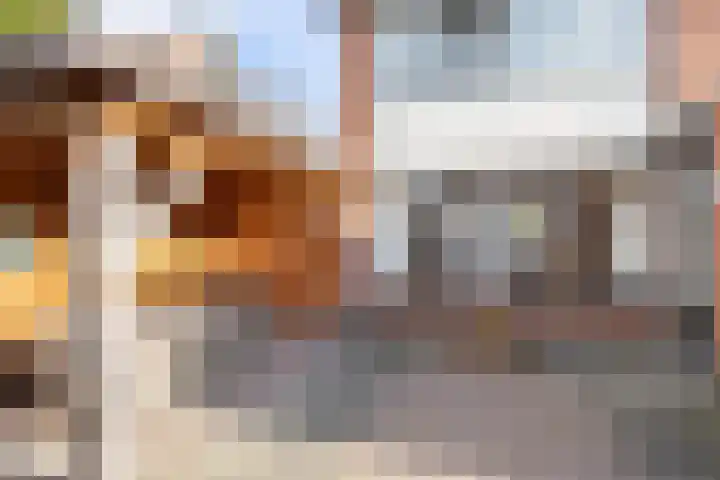 Hoornhorststraat 4 Beltrum thumbnail 35