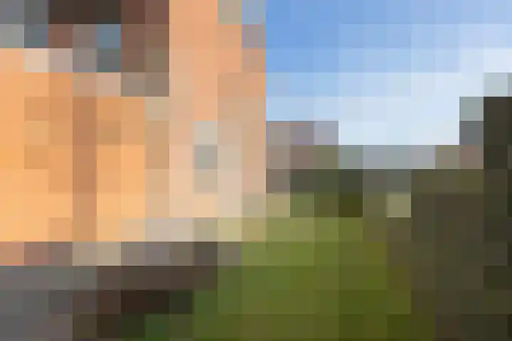 Hoornhorststraat 4 Beltrum thumbnail 37