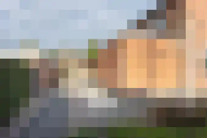 Hoornhorststraat 4 Beltrum thumbnail 38