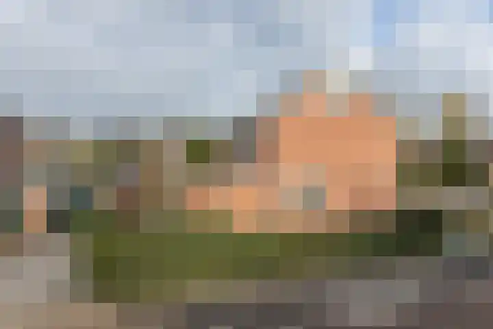 Hoornhorststraat 4 Beltrum thumbnail 39