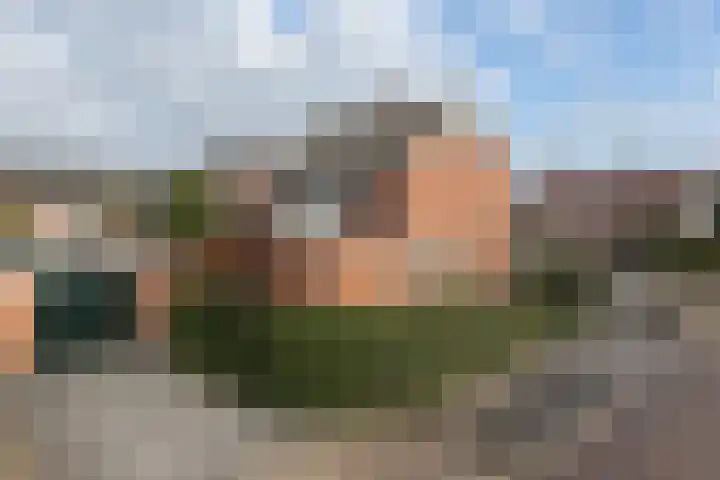 Hoornhorststraat 4 Beltrum thumbnail 40