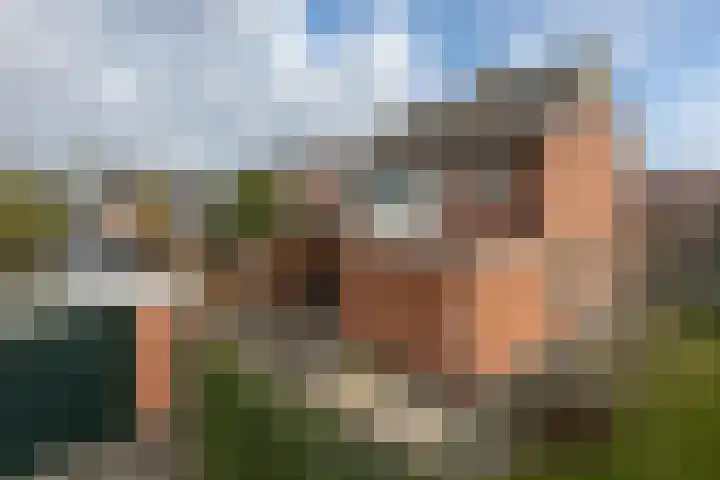 Hoornhorststraat 4 Beltrum thumbnail 41