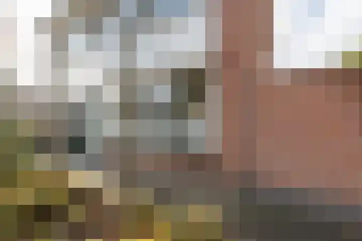 Hoornhorststraat 4 Beltrum thumbnail 47