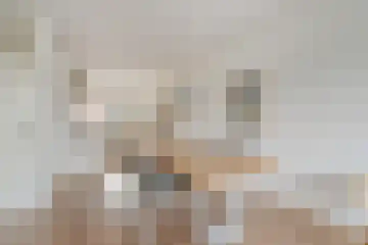 Hoornikgaarde 2 Deventer thumbnail 10