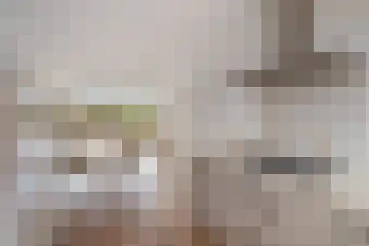 Hoornikgaarde 2 Deventer thumbnail 14